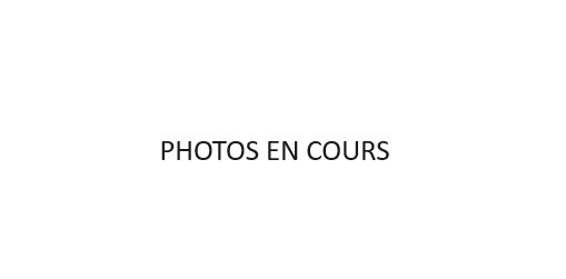 88_1_ROCHILL6_lv_images__lot_0090070881_01_20261028164440