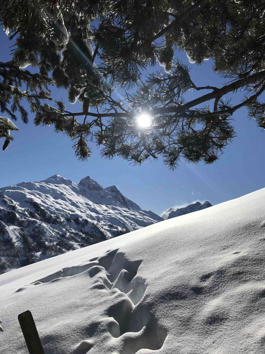_clients_227345002_photos_93n_39043055 _clients_227345002_photos_93n_39043055