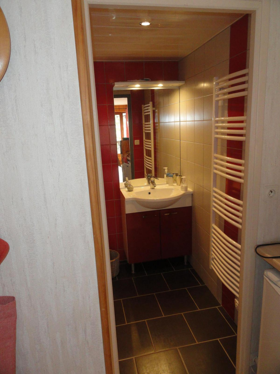 SALLE D'EAU - APPARTEMENT ROYAL NEIGE 27 - VALLOIRE CENTRE
