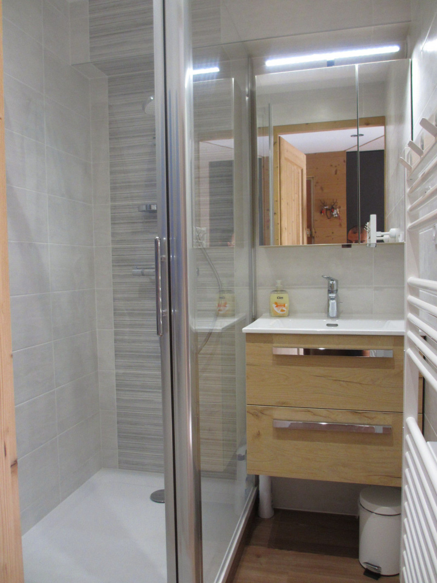 SALLE D'EAU- APPARTEMENT BETELGEUSE 86 - VALLOIRE CENTRE SALLE D'EAU- APPARTEMENT BETELGEUSE 86 - VALLOIRE CENTRE