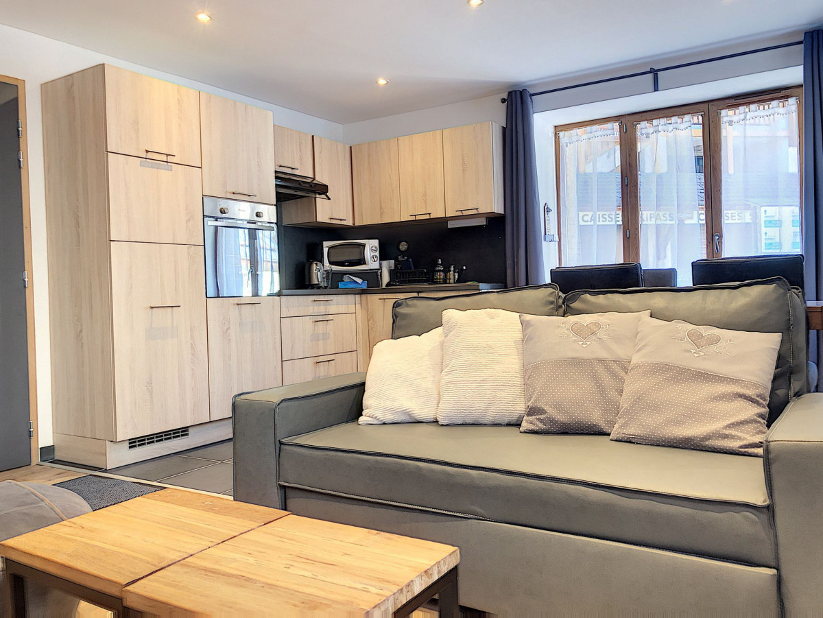 SEJOUR - APPARTEMENT EMILIENNE N°1 - VALLOIRE CENTRE