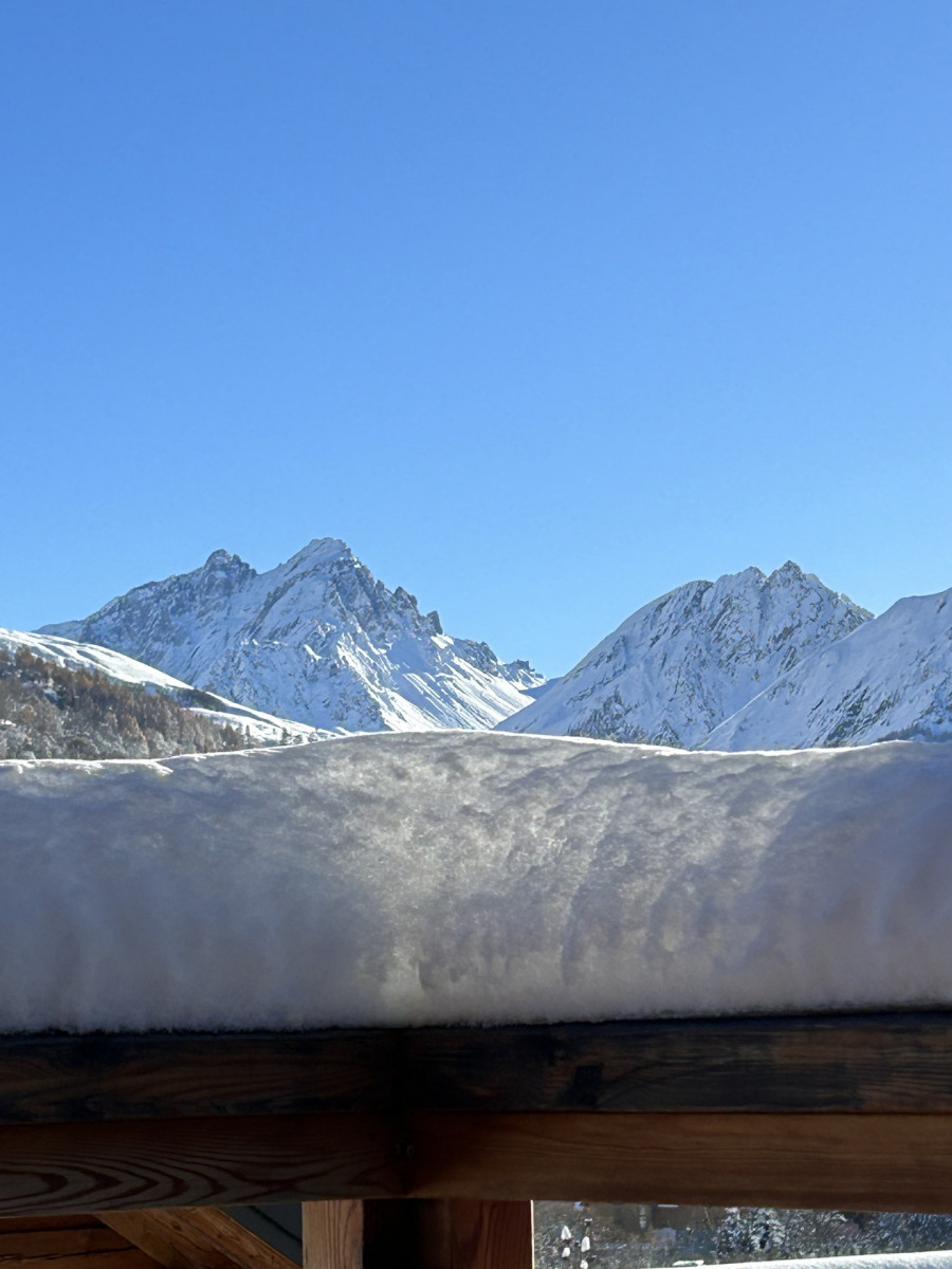 VUE TERRASSE - CHALET ARPITA - HAMEAU SERROZ VALLOIRE