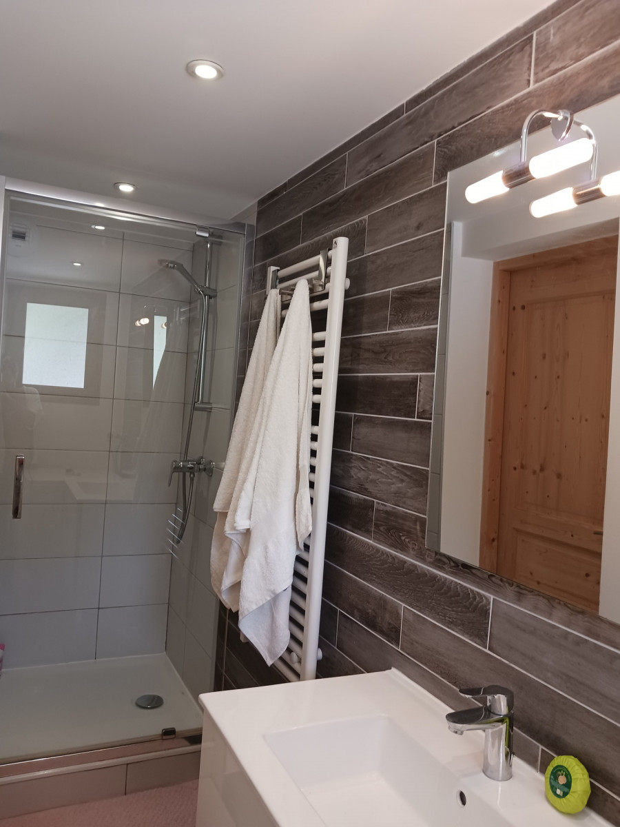 SALLE D'EAU - APPARTEMENT EMILIENNE N°4 - VALLOIRE CENTRE