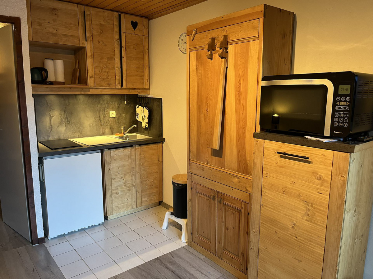 COIN CUISINE- STUDIO CORDELIERS 103 - LA GRAND VY VALLOIRE COIN CUISINE- STUDIO CORDELIERS 103 - LA GRAND VY VALLOIRE