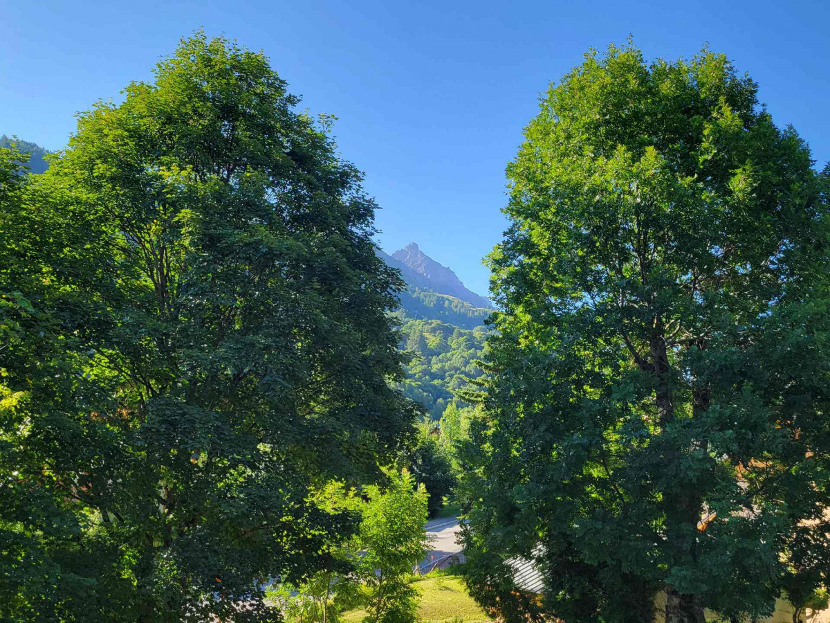 VUE -  APPARTEMENT CHALETS GALIBIER 2 N° 523 - MOULIN BENJAMIN - VALLOIRE