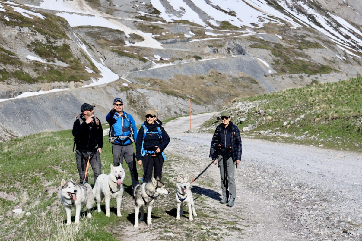 Walk with the Huskies at a preferential rate with a hotel - VALLOIRE RESERVATIONS