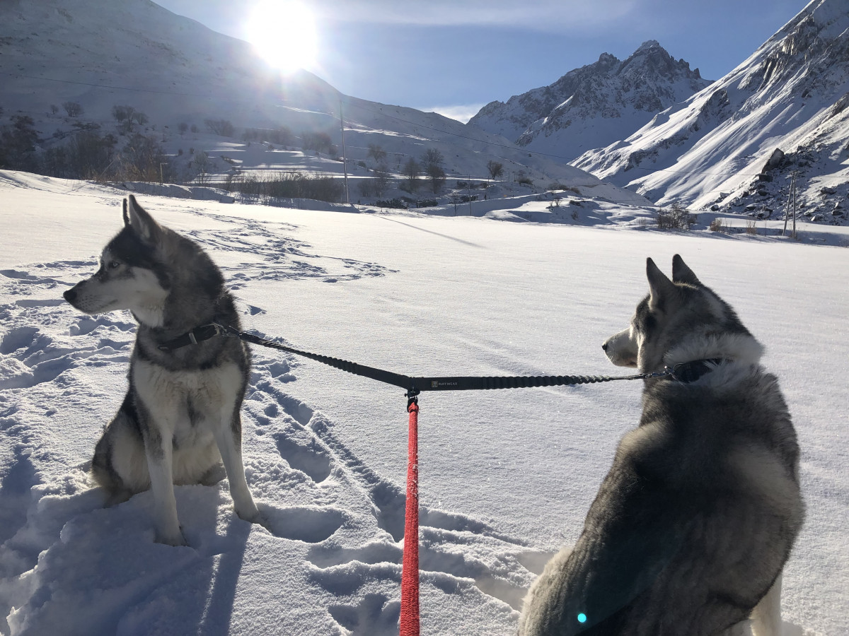 Walk with the Huskies at a preferential rate with a hotel - VALLOIRE RESERVATIONS