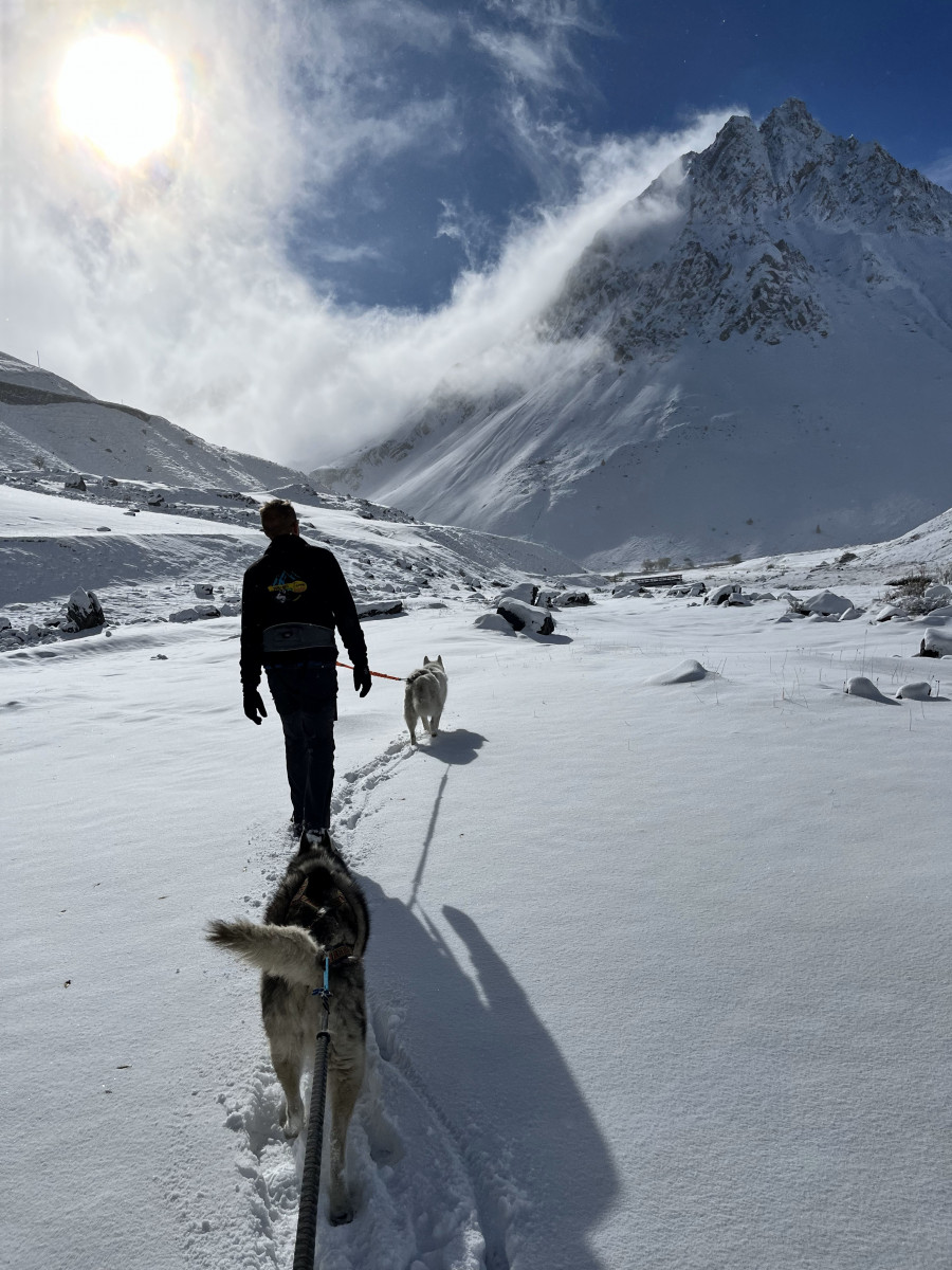 Balade avec les Huskies - VALLOIRE RESERVATIONS