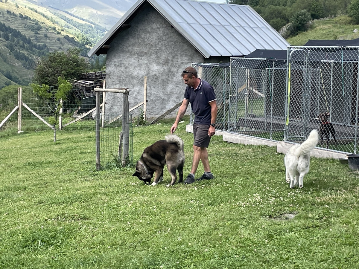 Dog Daycare at a Preferential price with a hotel - Valloire Réservations