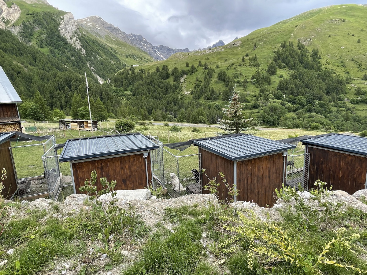 Dog Daycare at a Preferential price with an apartement or chalet - Valloire Réservations