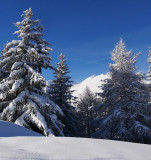 _clients_227345002_photos_162n_38996637