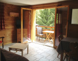 SALON - CHALET LE NÉVÉ APPARTEMENT 1 - VALLOIRE LES VERNEYS - VALLOIRE RESERVATIONS