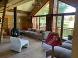 SALON  - CHALET ALPEN ROC - LA GRAND VY VALLOIRE - VALLOIRE RESERVATIONS
