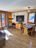 SEJOUR - APPARTEMENT PENSEE 200 CHALETS DE LA VALLEE D'OR - VALLOIRE LES CHARBONNIERES