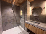SALLE D'EAU - CHALET ALKIMIA - VALLOIRE LE CRET DU SERROZ