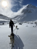 Balade avec les Huskies à tarif préférentiel avec un hôtel - VALLOIRE RESERVATIONS