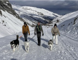 Balade avec les Huskies - VALLOIRE RESERVATIONS