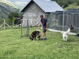 Garderie canine à tarif préférentiel avec un hôtel - Valloire Réservations