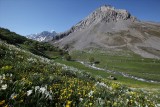 randonnée valloire, sortie nature valloire, balade valloire