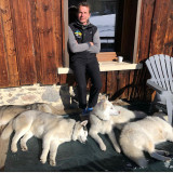 Séance Découverte du Husky à tarif préférentiel avec un hébergement - VALLOIRE RESERVATIONS