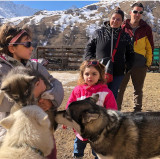 Séance Découverte du Husky à tarif préférentiel avec une location meublée - VALLOIRE RESERVATIONS