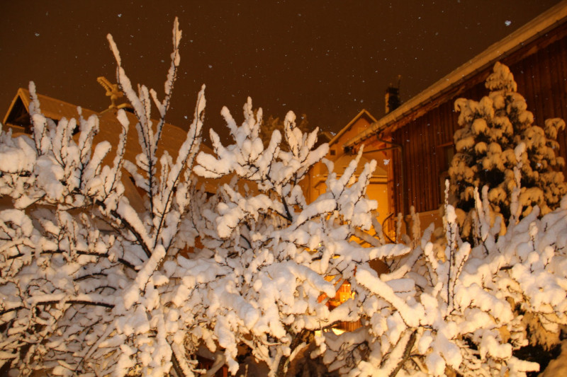 _lv_images__imme_0000000110_08_36484246