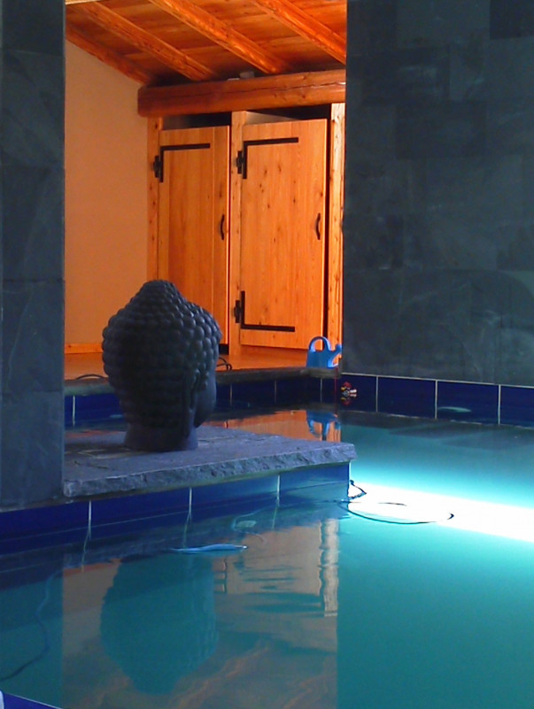 VUE 3 PISCINE LA MAISON RAPIN - SÉJOUR SKI ET MONTAGNE - VALLOIRE VUE 3 PISCINE LA MAISON RAPIN - SÉJOUR SKI ET MONTAGNE - VALLOIRE