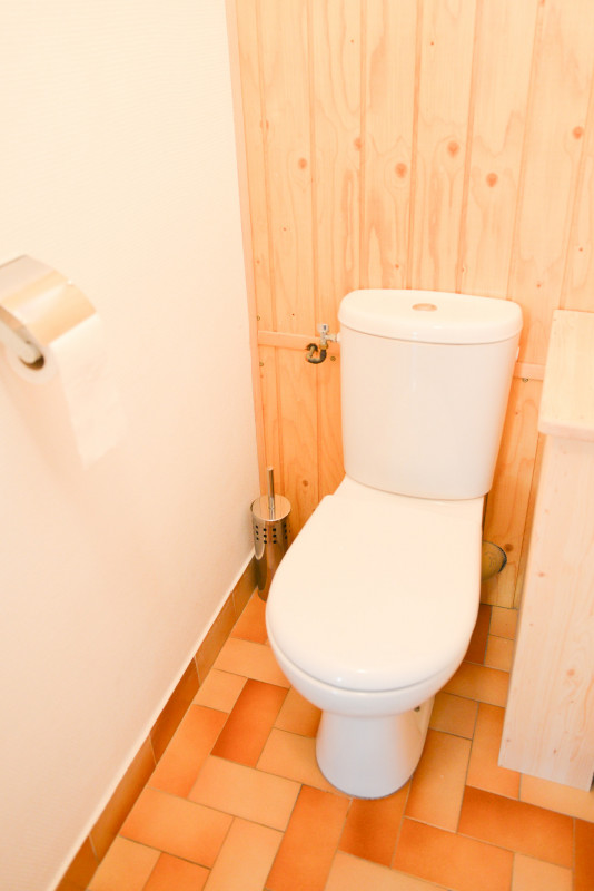 WC - APPARTEMENT PRAZ 9 - VALLOIRE CENTRE WC - APPARTEMENT PRAZ 9 - VALLOIRE CENTRE