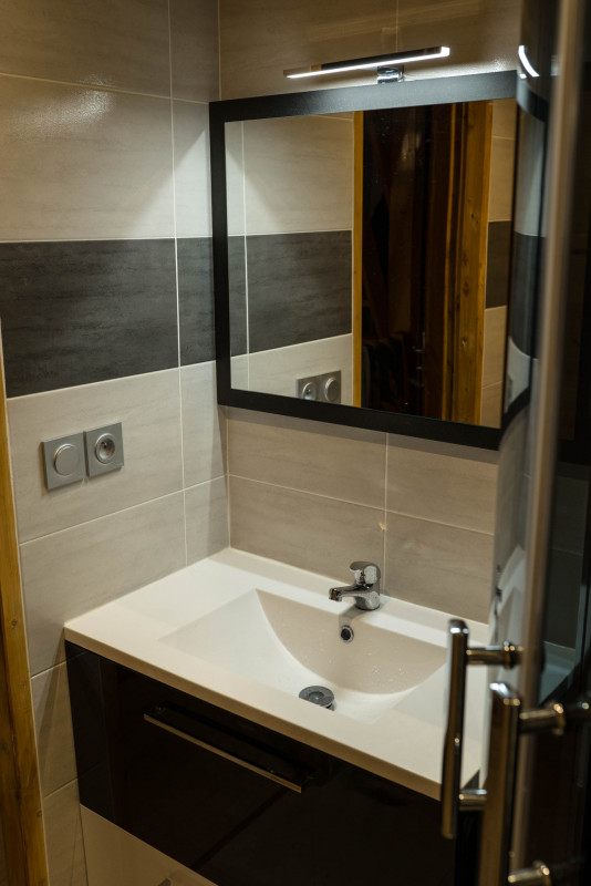 SALLE D'EAU - APPARTEMENT TIGNY 36 - VALLOIRE CENTRE SALLE D'EAU - APPARTEMENT TIGNY 36 - VALLOIRE CENTRE