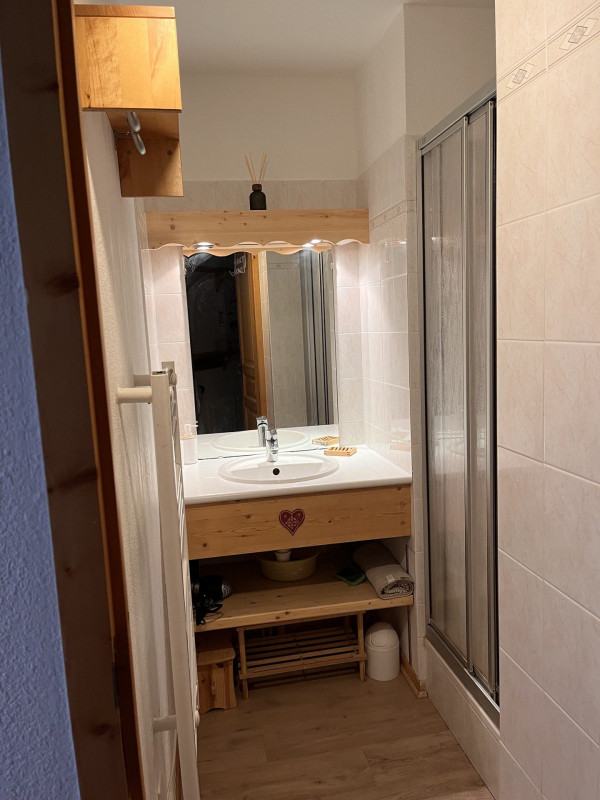 SALLE D'EAU -  APPARTEMENT ARVETTE N°3 - LE PONTET