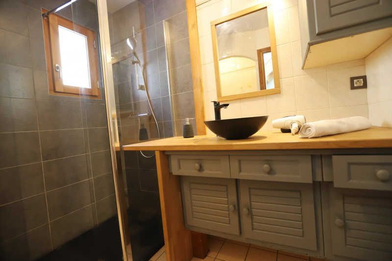 SALLE DE D'EAU - APPARTEMENT AUXSPORTS- VALLOIRE CENTRE