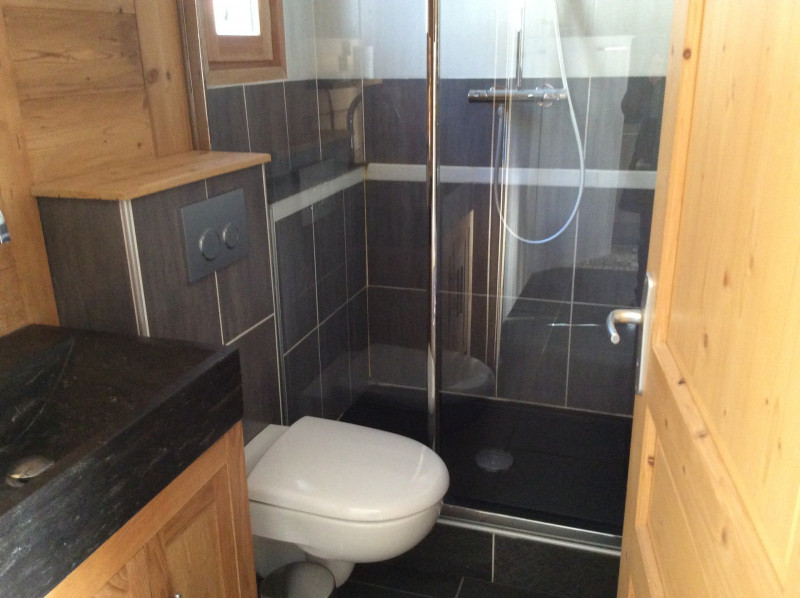 SALLE D'EAU - APPARTEMENT AUXSPORTS B - VALLOIRE CENTRE
