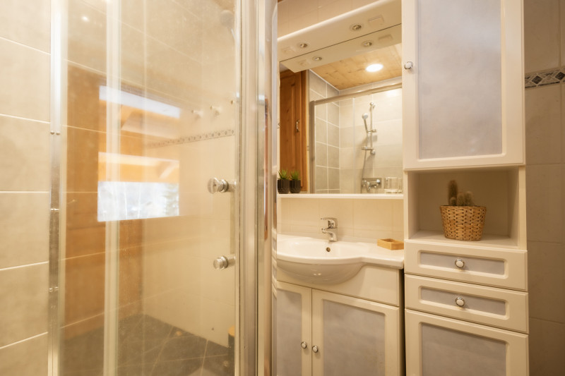 SALLE D'EAU - LE CHALET GENTIANA N°4 - VALLOIRE CENTRE SALLE D'EAU - LE CHALET GENTIANA N°4 - VALLOIRE CENTRE