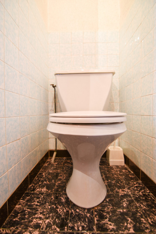 WC - APPARTEMENT GRAND GALIBIER - VALLOIRE LES VERNEYS WC - APPARTEMENT GRAND GALIBIER - VALLOIRE LES VERNEYS