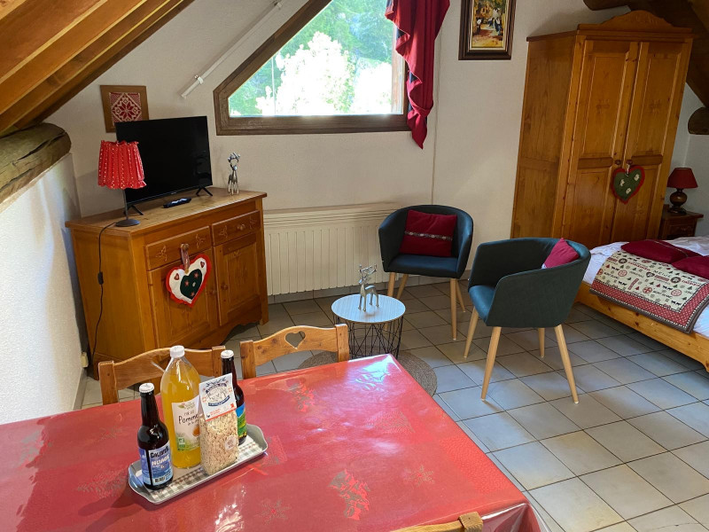 SEJOUR - STUDIO CHALET L'ANDORSE 2 - VALLOIRE LA BORGE - VALLOIRE RESERVATIONS