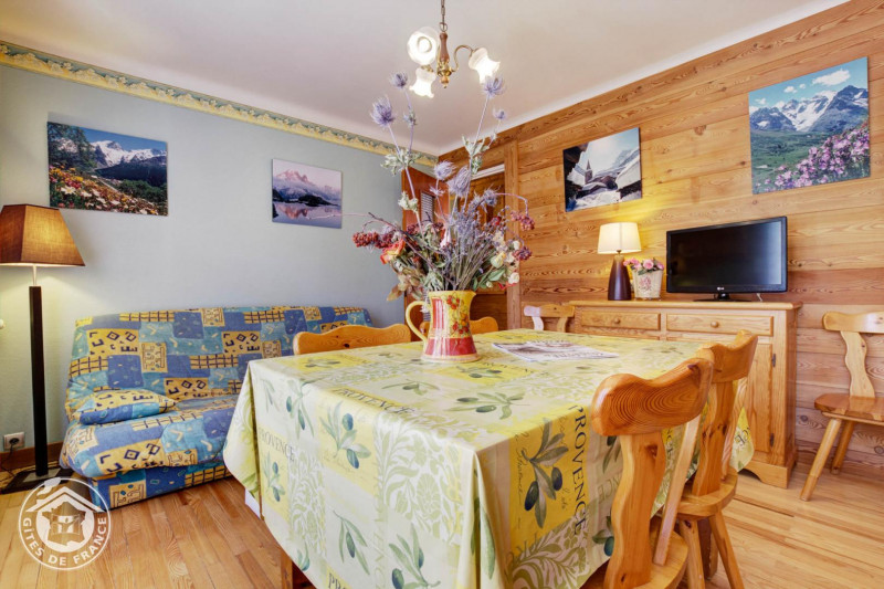 SALON - APPARTEMENT - LA BORGE - BONEAU 2 - VALLOIRE LA BORGE