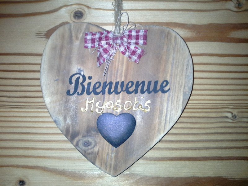 DECORATION - CHALET LES ANCOLIES APPARTEMENT MYOSOTIS - VALLOIRE LES CLOTS DECORATION - CHALET LES ANCOLIES APPARTEMENT MYOSOTIS - VALLOIRE LES CLOTS