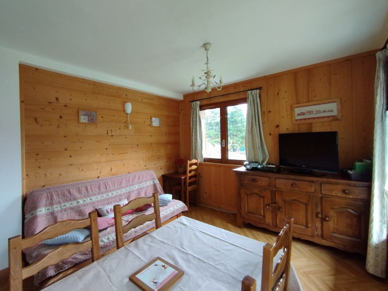SALON - MAISON NOTRE NID - APPARTEMENT NOTRE NID - VALLOIRE LA BORGÉ - VALLOIRE RESERVATIONS