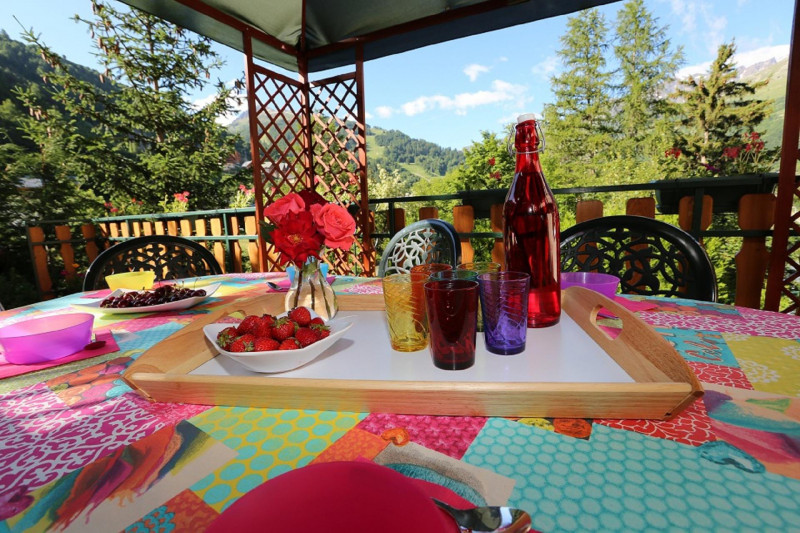 JARDIN - CHALET LES MYRTILLES - VALLOIRE LES CHOSEAUX