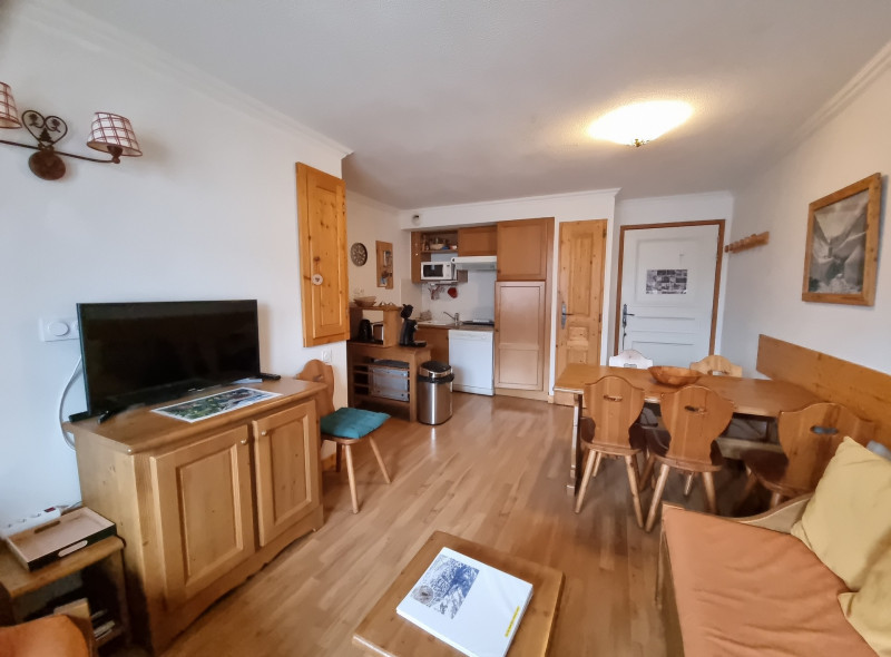 SALON - APPARTEMENT CHALETS DE LA VALLEE D'OR EDELWEISS 100 - LES CHARBONNIERES VALLOIRE - VALLOIRE RESERVATIONS SALON - APPARTEMENT CHALETS DE LA VALLEE D'OR EDELWEISS 100 - LES CHARBONNIERES VALLOIRE - VALLOIRE RESERVATIONS