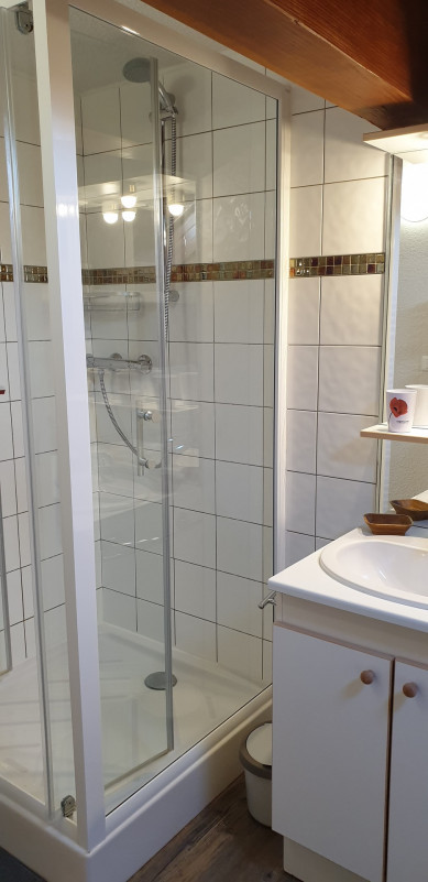 SALLE D'EAU - APPARTEMENT ROCHES FLEURIES B5 - VALLOIRE CENTRE SALLE D'EAU - APPARTEMENT ROCHES FLEURIES B5 - VALLOIRE CENTRE