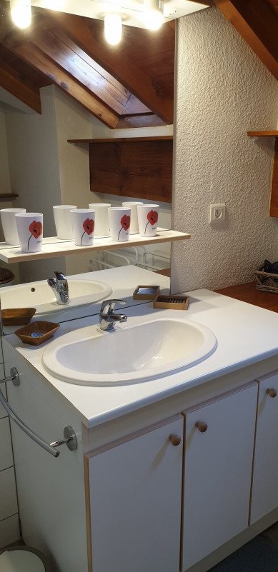 SALLE D'EAU - APPARTEMENT ROCHES FLEURIES B5 - VALLOIRE CENTRE SALLE D'EAU - APPARTEMENT ROCHES FLEURIES B5 - VALLOIRE CENTRE