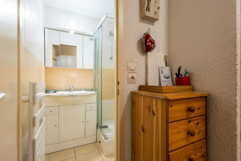 SALLE D'EAU - APPARTEMENT DEMEURANCE 110 - VALLOIRE LES PLANS