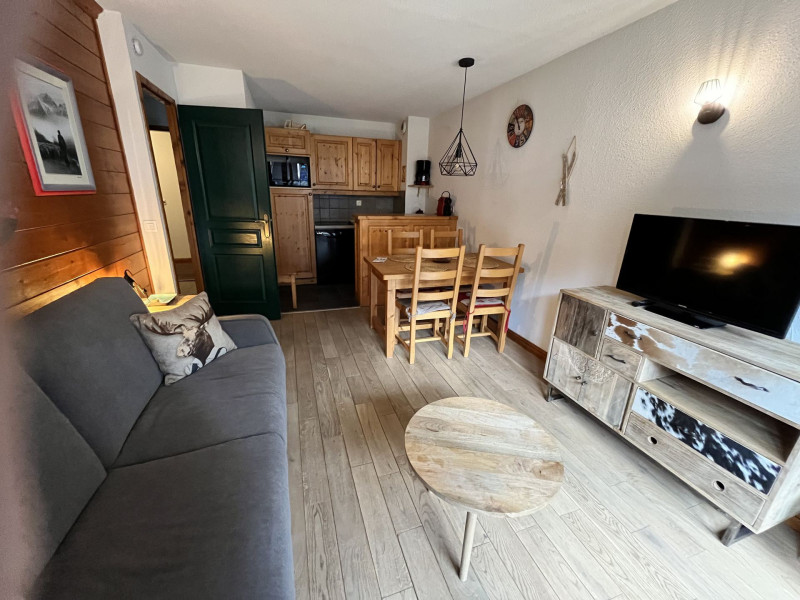 SALON - APPARTEMENT G11 CHALETS DU GALIBIER 1 - VALLOIRE MOULIN BENJAMIN - VALLOIRE RESERVATIONS