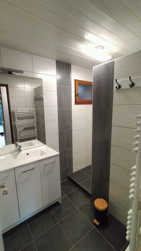 SALLE D'EAU - CHALET CHEZ ZEBULON- VALLOIRE LA BORGE SALLE D'EAU - CHALET CHEZ ZEBULON- VALLOIRE LA BORGE