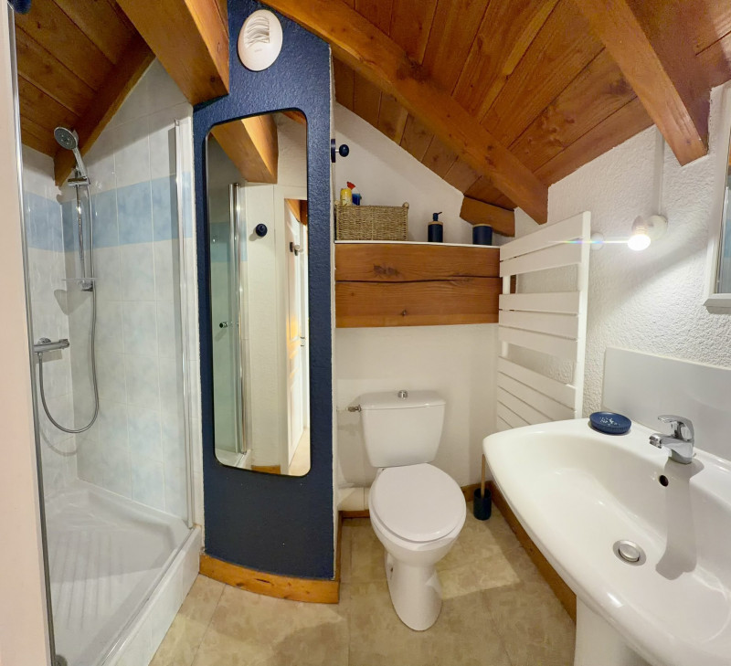 SALLE D'EAU - APPARTEMENT ROCHES FLEURIES B6 - VALLOIRE CENTRE SALLE D'EAU - APPARTEMENT ROCHES FLEURIES B6 - VALLOIRE CENTRE