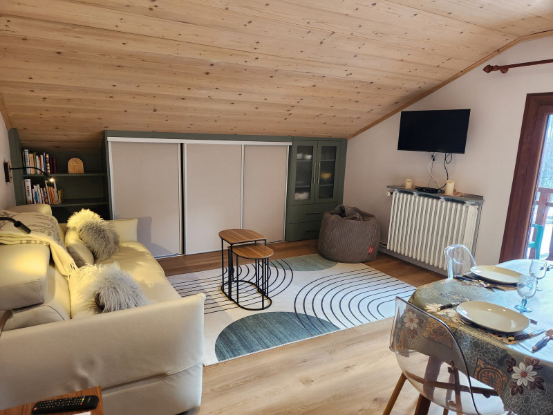 SEJOUR - APPARTEMENT ARGENTIERE 2 - VALLOIRE LA BORGE 