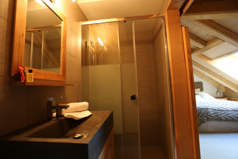 SALLE D'EAU - APPARTEMENT EPINETTE 301 - VALLOIRE CENTRE - VALLOIRE RESERVATIONS SALLE D'EAU - APPARTEMENT EPINETTE 301 - VALLOIRE CENTRE - VALLOIRE RESERVATIONS