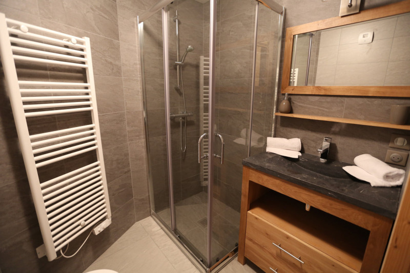 SALLE D'EAU - APPARTEMENT EPINETTE 301 - VALLOIRE CENTRE - VALLOIRE RESERVATIONS SALLE D'EAU - APPARTEMENT EPINETTE 301 - VALLOIRE CENTRE - VALLOIRE RESERVATIONS