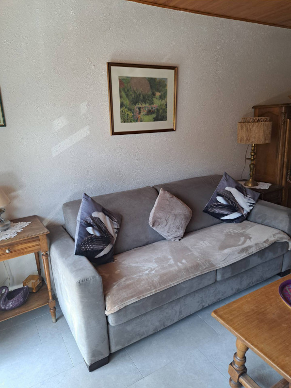 SALON - CARIBOU 17 - VALLOIRE CENTRE - VALLOIRE RESERVATIONS